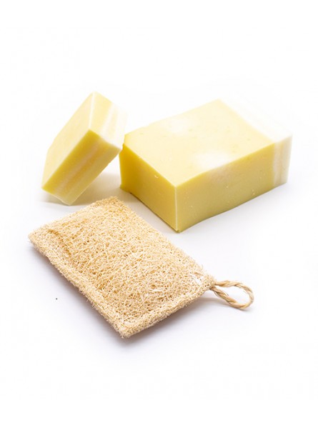 estropajo-de-cocina-luffa-ecologica-sin-plastico (1)